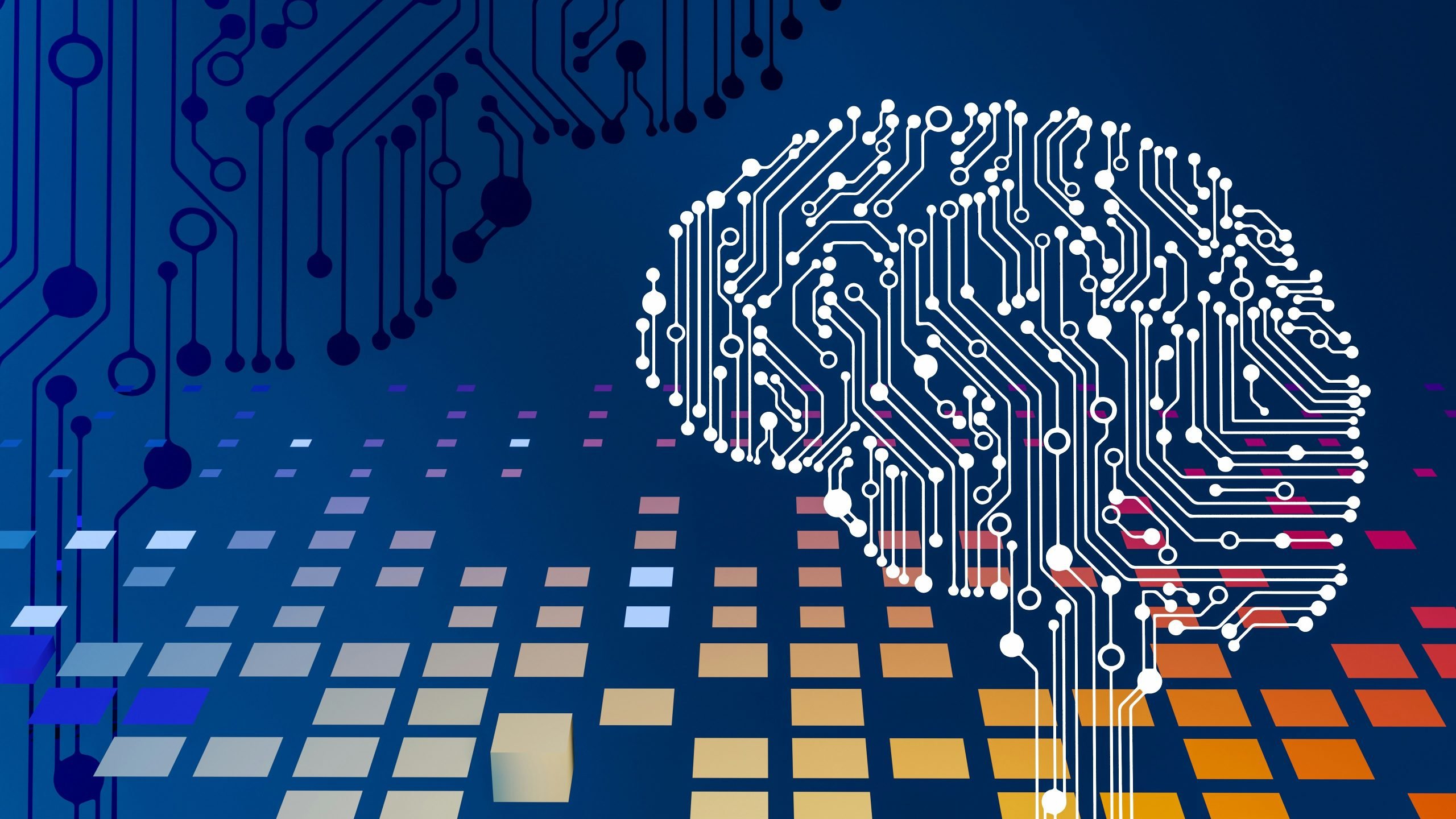Hertsmere Borough Council AI workshop
